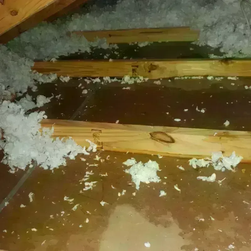 Attic Water Damage in Roanoke Rapids, NC